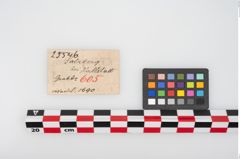 Etikett zu Bronzemehrkopfnadel (NHMW-PRAE-025546)